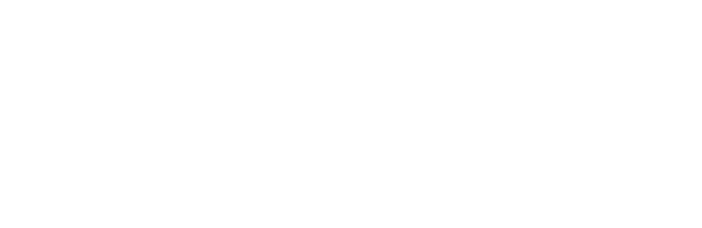 MICRO ESSENCE