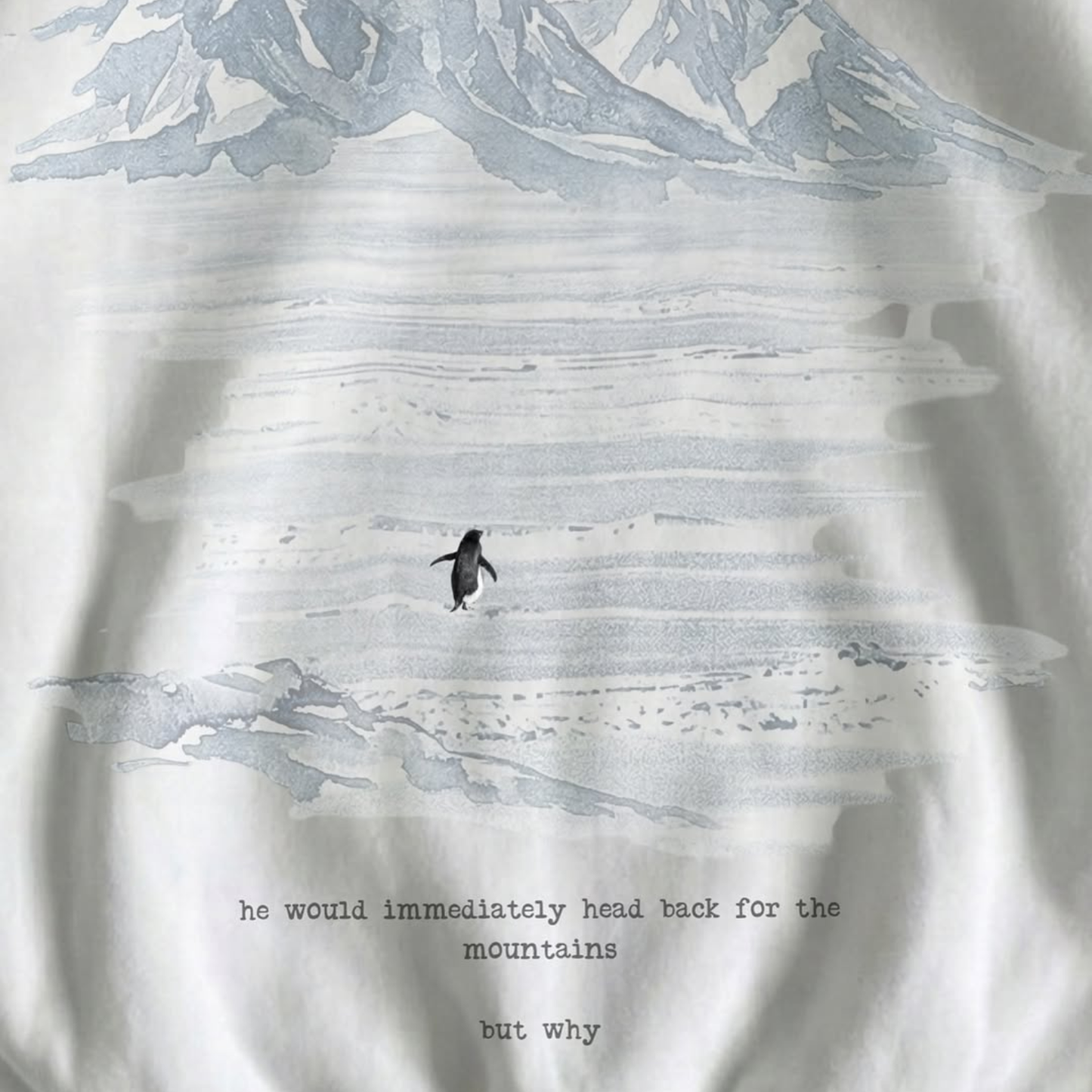 Lone Penguin "But Why" Oversized Hoodie